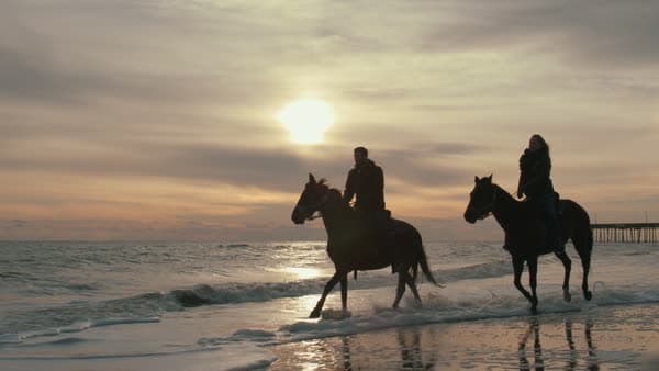 Visit Virginia Beach Commercial Campaign: Visit Virginia Beach Winter Campaign